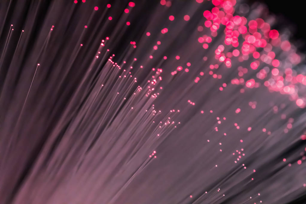 任何在本文出现的信息均只作为参考